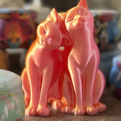 Hai chú mèo âu yếm bên nhau trong tư thế thân mật