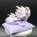 Rồng con ngủ trên gối mềm mại - Thumbnail 4