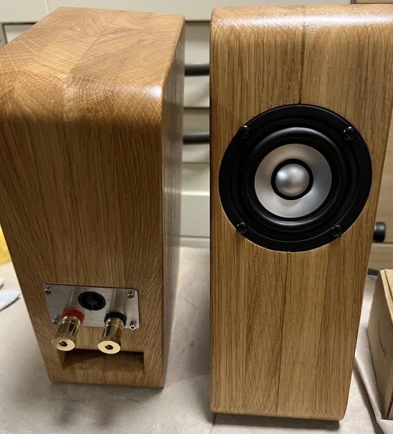 Loa Bneck DIY cho người mới bắt đầu - Image 1