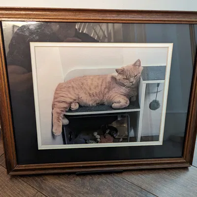 Giá đỡ khung ảnh hiện đại với độ dày 2cm