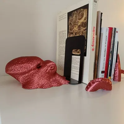 Giá đỡ sách hình bạch tuộc trang trí độc đáo