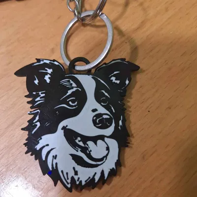 Móc khóa Border Collie hai màu