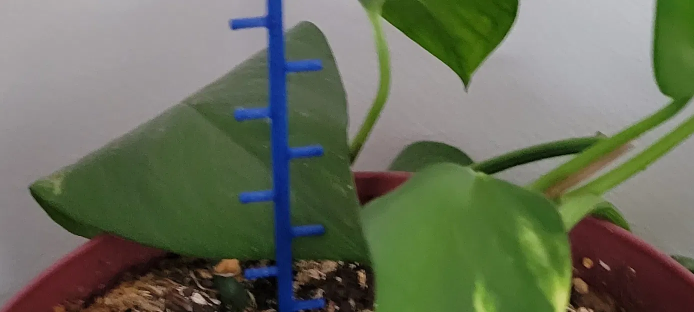 Giá đỡ cây leo trang trí cho nhà cửa - Image 1