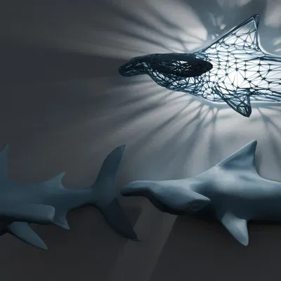 Cá mập búa treo tường cho bể cá của bạn