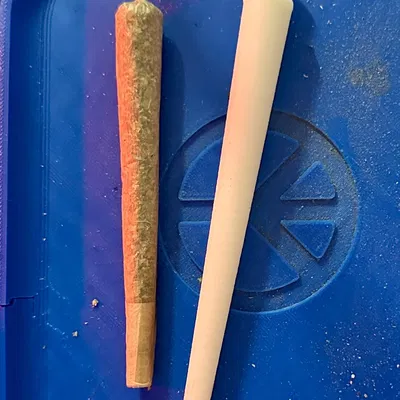 Trợ giúp cuộn Joint kích thước lớn