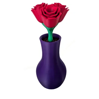 Bộ hoa Valentine - Bộ sưu tập hoa xuân