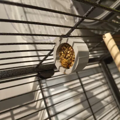 Khay thức ăn cho chim trong lồng