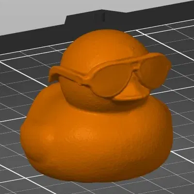 Vịt đeo kính thời trang