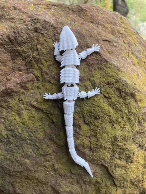 Thằn lằn khớp nối độc đáo cho trang trí nội thất - Image 2