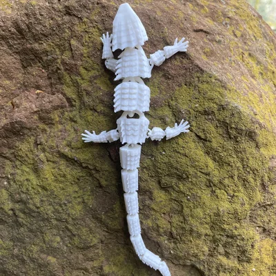 Thằn lằn khớp nối độc đáo cho trang trí nội thất