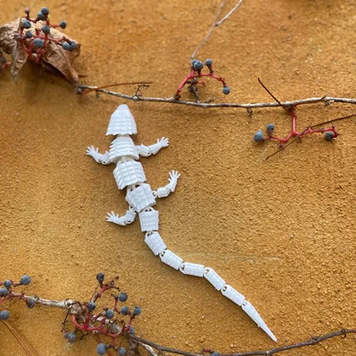 Thằn lằn khớp nối độc đáo cho trang trí nội thất