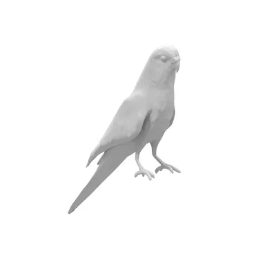 Mô hình 3D chim vẹt yêu thích sống động