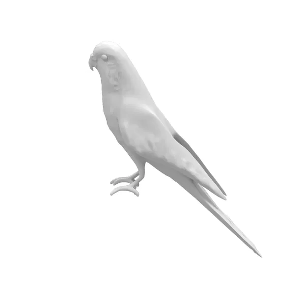 Mô hình 3D chim vẹt yêu thích sống động - Image 4