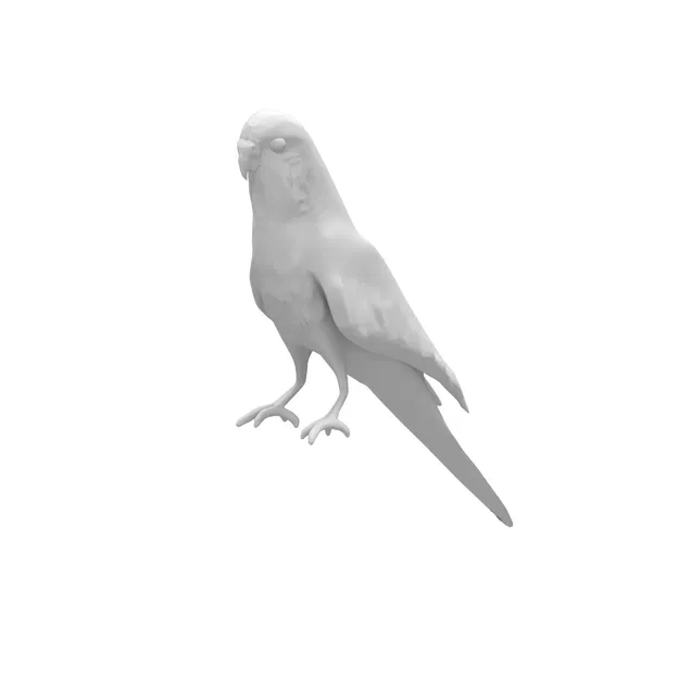 Mô hình 3D chim vẹt yêu thích sống động - Image 5