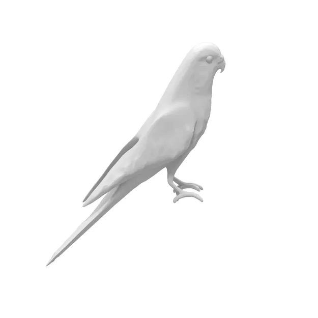 Mô hình 3D chim vẹt yêu thích sống động - Image 8