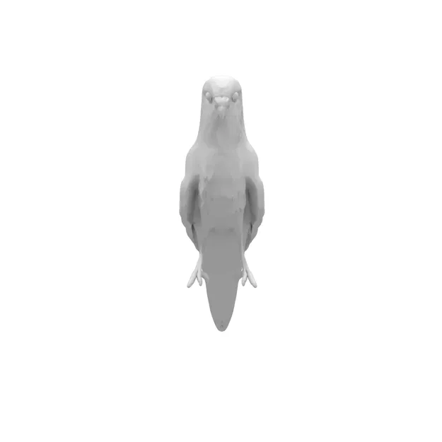 Mô hình 3D chim vẹt yêu thích sống động - Image 15