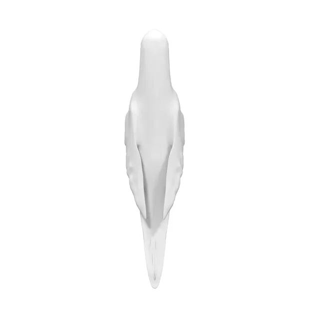 Mô hình 3D chim vẹt yêu thích sống động - Image 16