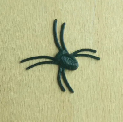 Nhện nhỏ đáng sợ cho Halloween