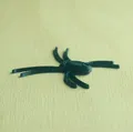 Nhện nhỏ đáng sợ cho Halloween - Thumbnail 4