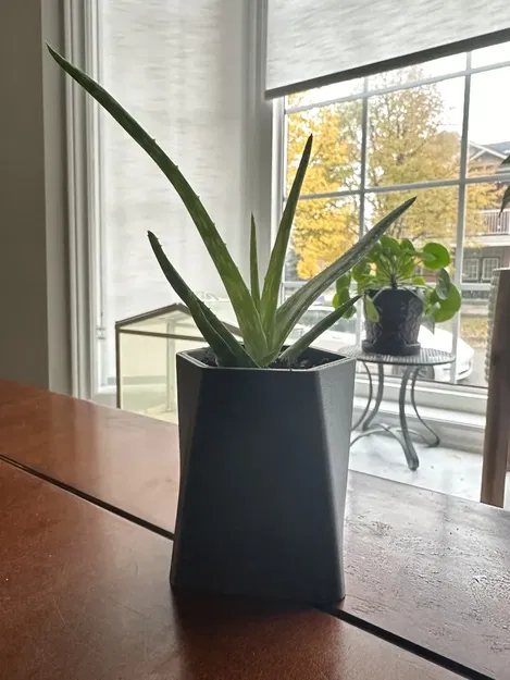 Chậu cây xương rồng GreenScapes phong cách hiện đại - Image 1