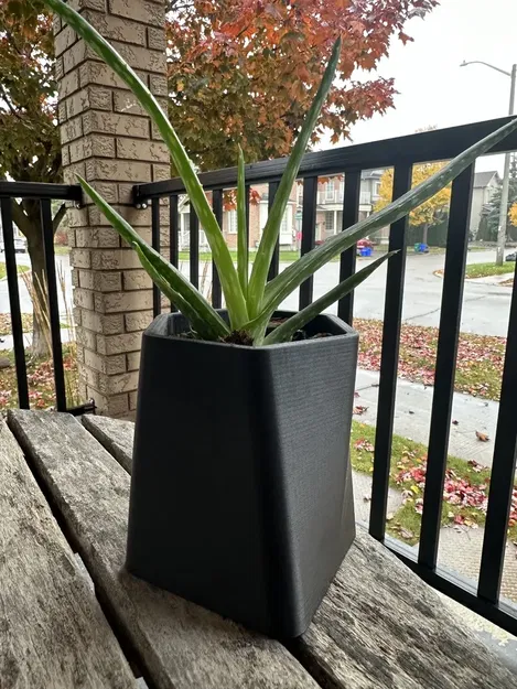 Chậu cây xương rồng GreenScapes phong cách hiện đại - Image 2