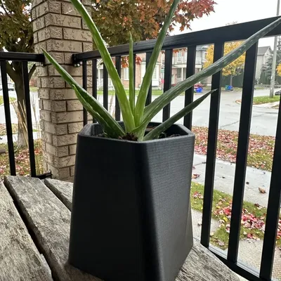 Chậu cây xương rồng GreenScapes phong cách hiện đại