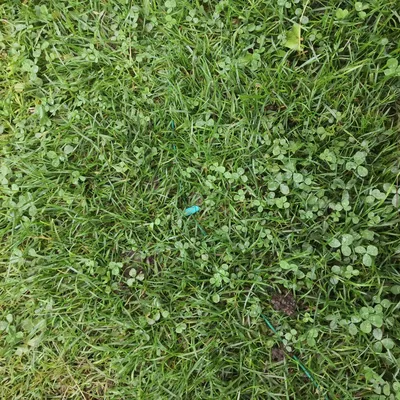 Giá đỡ dây ranh cho máy cắt cỏ robot Husqvarna