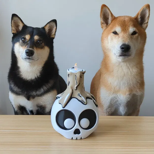 Skull hoạt hình với nến chảy màu sắc đa dạng - Image 2