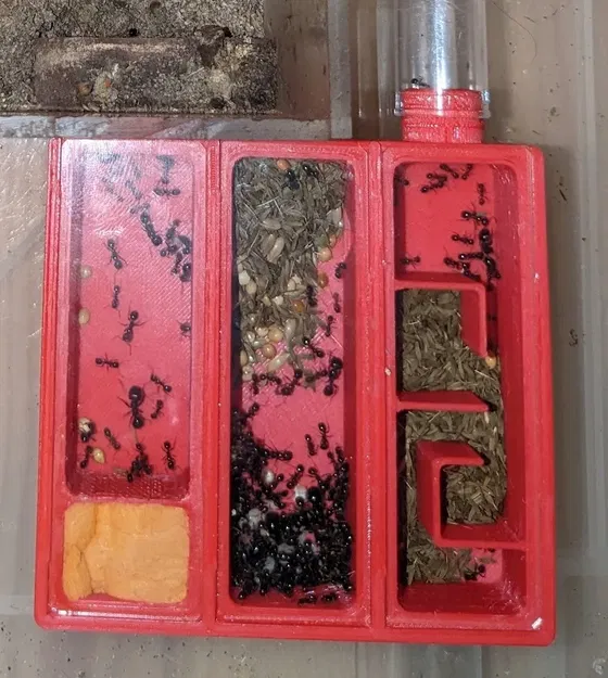 Tổ kiến cho kính hiển vi với thiết kế 3 phần - Image 1