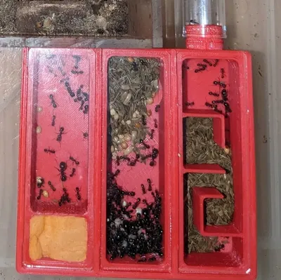 Tổ kiến cho kính hiển vi với thiết kế 3 phần