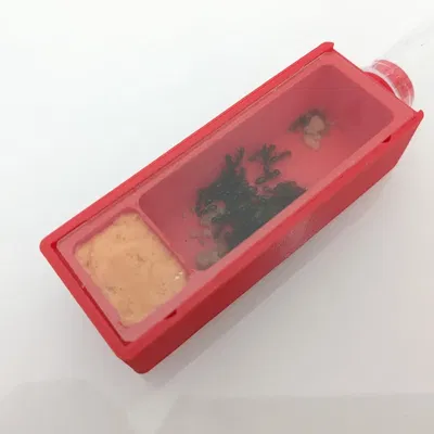 Tổ kiến cho kính hiển vi với thiết kế 3 phần