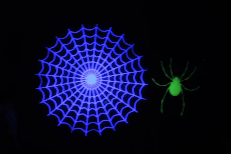 Trang trí mạng nhện cho Halloween - Image 2