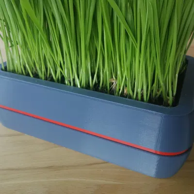 Chậu trồng cỏ cho mèo với thiết kế hình chữ nhật