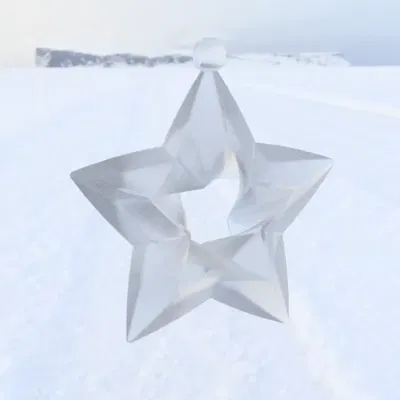 Ngôi sao Giáng sinh dành cho Lil Nic