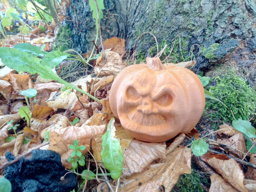 Bí ngô cau có cho trang trí Halloween - Image 3