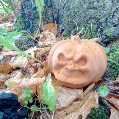 Bí ngô cau có cho trang trí Halloween