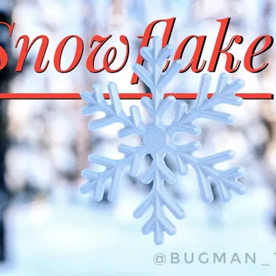 Cành tuyết trang trí cho mùa Giáng sinh và năm mới