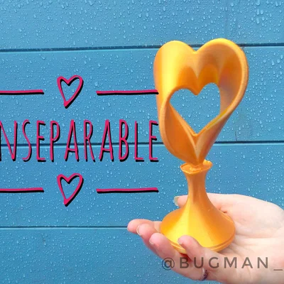 Mô hình trái tim đôi không thể tách rời cho ngày Valentine