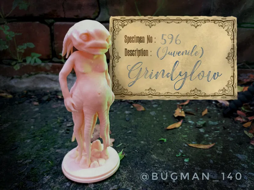 Grindylow (Thiếu niên) từ thế giới Harry Potter - Image 1