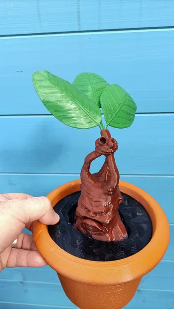 Cây giống Mandrake trong chậu cho bộ sưu tập ma thuật - Image 3