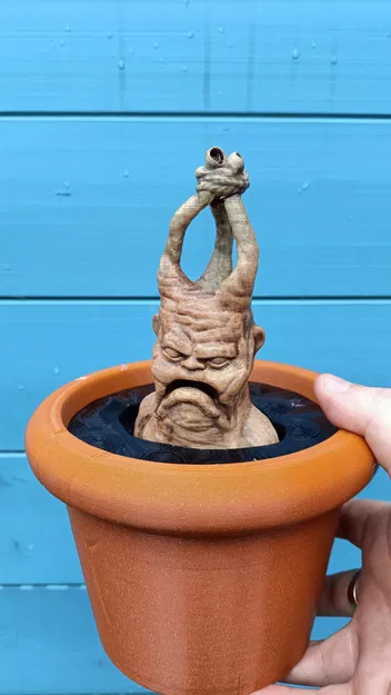 Cây giống Mandrake trong chậu cho bộ sưu tập ma thuật - Image 5