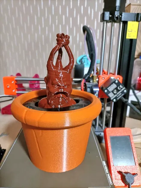 Cây giống Mandrake trong chậu cho bộ sưu tập ma thuật - Image 6