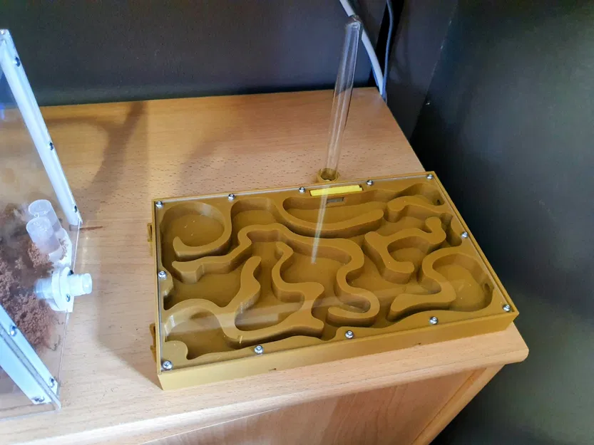 Hộp kiến hình chữ nhật XL cho đàn kiến Messor barbarus - Image 1