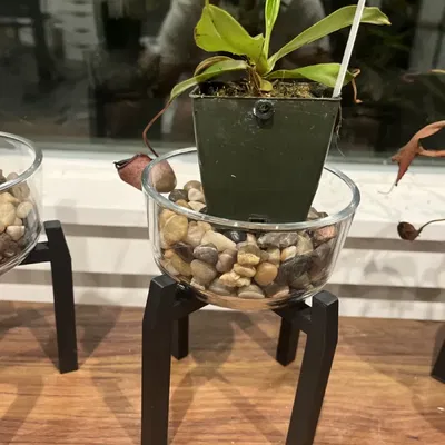 Giá đỡ cây cho bình pyrex 2 cốc