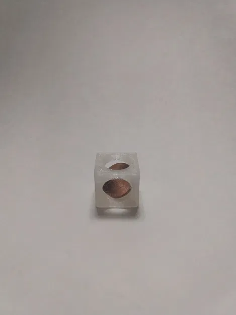 Bẫy đồng xu độc đáo với thiết kế cá nhân hóa - Image 1