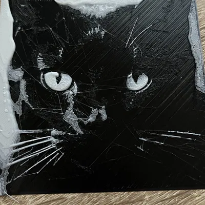 Mô hình đầu lâu người với màu sắc độc đáo