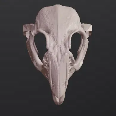 Mặt nạ sọ thỏ phong cách RISD Nature Lab