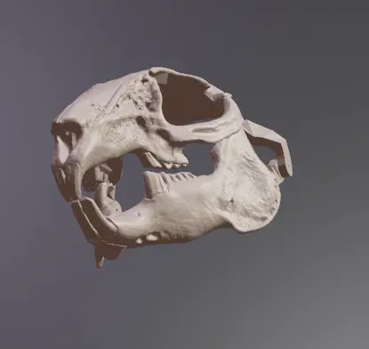 Mặt nạ sọ thỏ phong cách RISD Nature Lab - Image 5