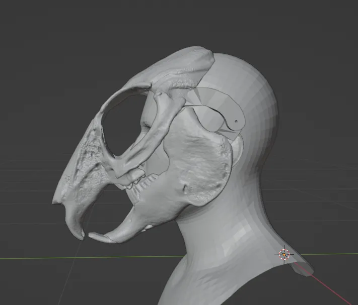 Mặt nạ sọ thỏ phong cách RISD Nature Lab - Image 7