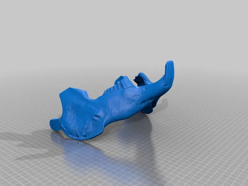 Mặt nạ sọ thỏ phong cách RISD Nature Lab - Image 10